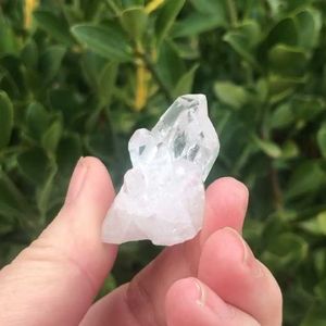 Clear Quartz Mini Druzys