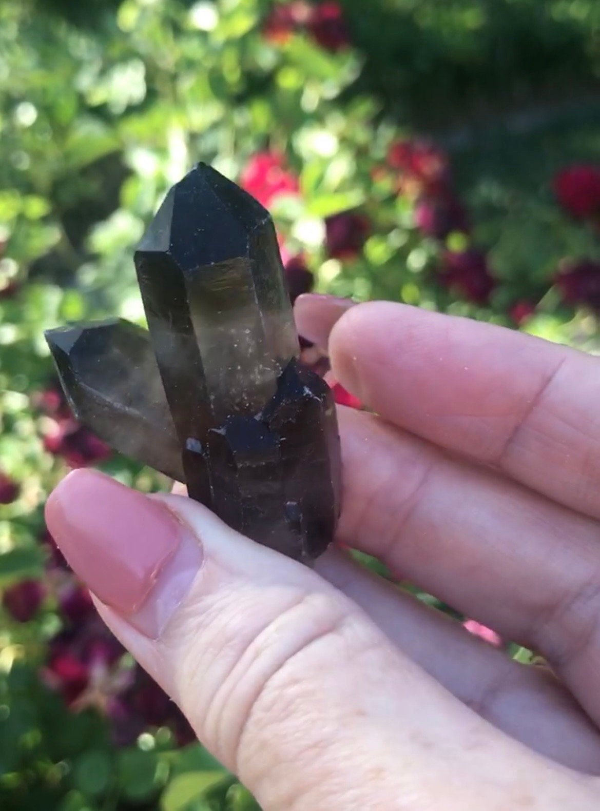 Mini Smoky Quartz Cluster Druzy, Natural Crystal Specimen, Healing Stone Decor, Meditation Altar Display, Spiritual Energy Accent Piece