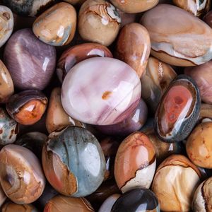 Desert Jasper Palm Stones